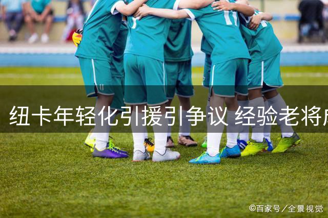 纽卡年轻化引援引争议 经验老将成补强关键