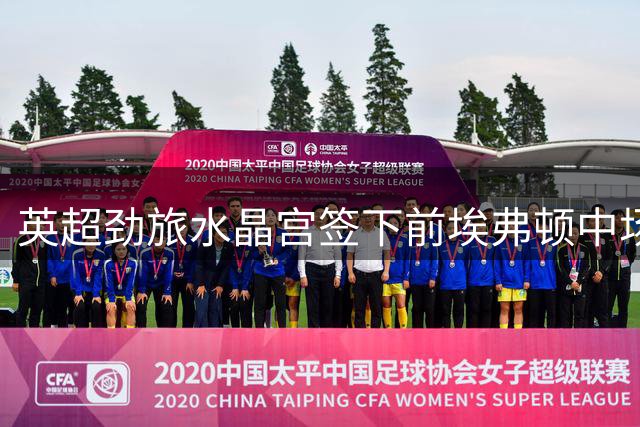 英超劲旅水晶宫签下前埃弗顿中场麦克尼尔